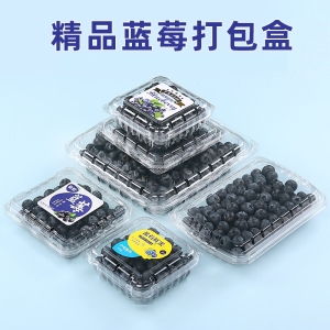蓝莓专用盒