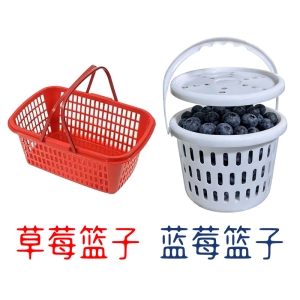 草莓蓝莓篮子